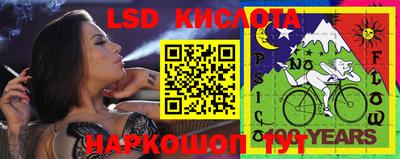 бошки Донской
