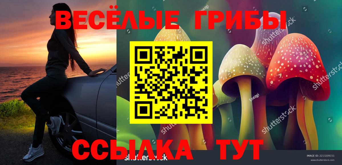 Галлюциногенные грибы ЛСД Мариинск