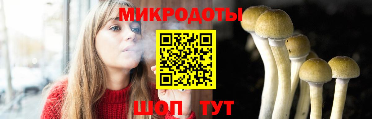 Галлюциногенные грибы GOLDEN TEACHER  Вход с VPN  Мариинск 